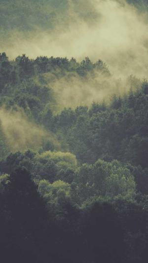 福州市网站建设截图2