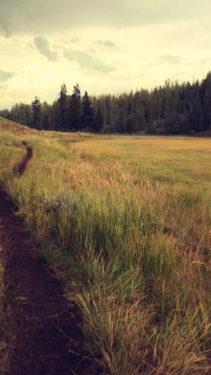 蜘蛛池平台源码截图2