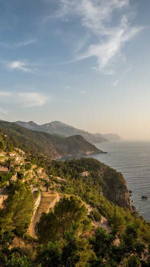 seo博客必备工具截图1