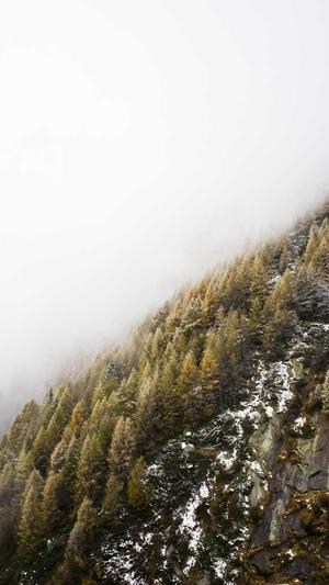 乌鲁木齐seo优化截图3