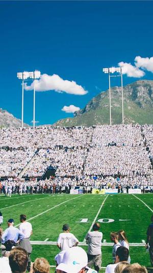 宜春网站建设截图2
