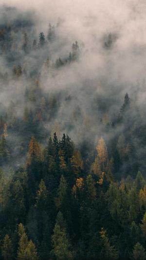 强力蜘蛛池截图2