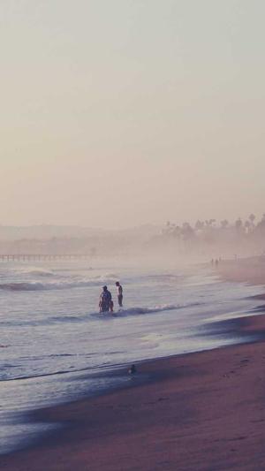 站长工具seo推广截图3