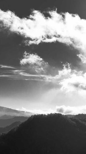 做站群泛目录截图4