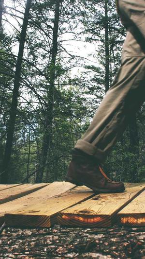 阿里蜘蛛池服务器截图2