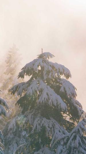 常州seo优化截图2