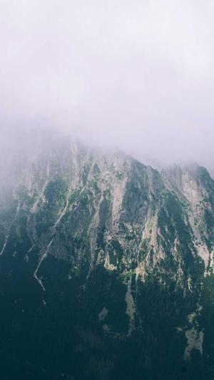 蜘蛛池租用推广排名截图2