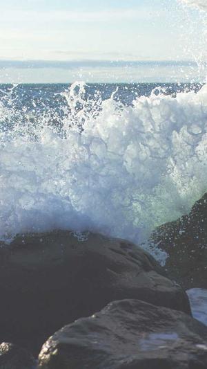 seo排名工具有哪些截图1