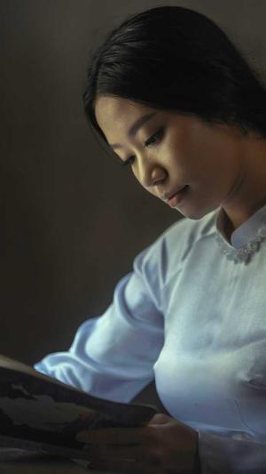 seo数据分析工具截图1