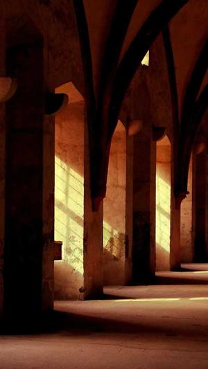 小旋风万能蜘蛛池x7截图4