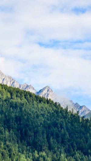 seo免费工具截图1