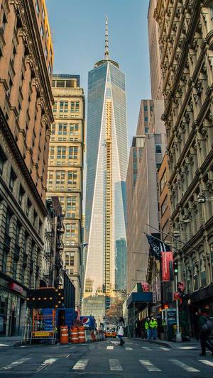 寄生虫蜘蛛池搭建方案截图2