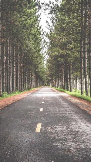 南昌seo优化截图3