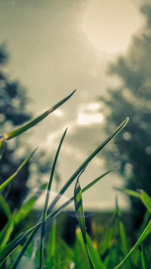 江津网站建设截图1