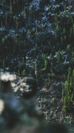 seo基础知识截图2