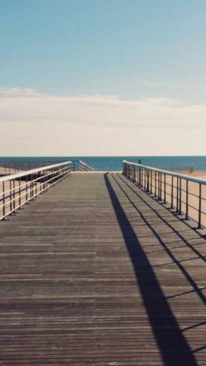 seo 网站优化工具截图2