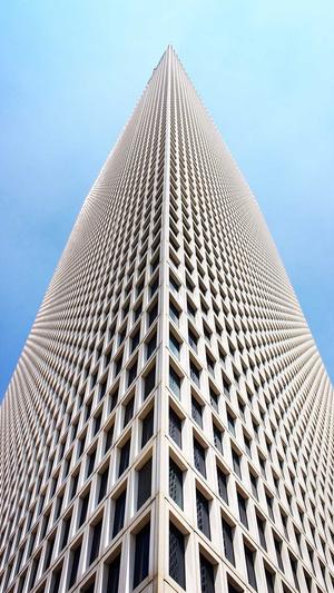 seo排名优化工具 site截图2