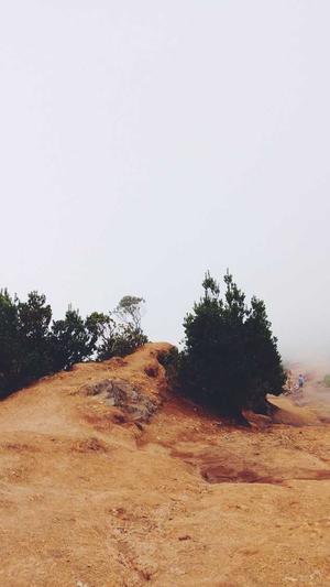 佛山顺德网站建设公司截图2