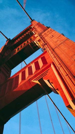 排名优化seo截图2