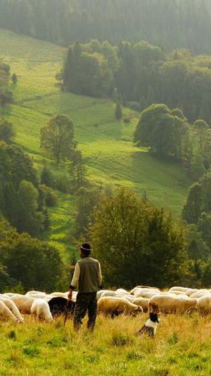 谷歌seo查询工具截图2