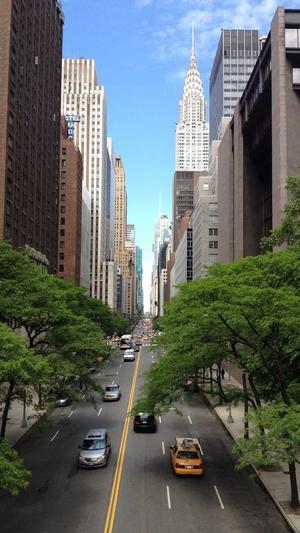 seo 网站优化工具截图4