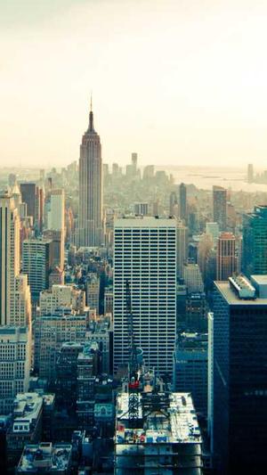 seo排名工具有哪些截图2