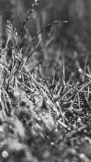 东莞市建设网站截图4