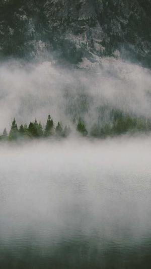 网站建设哪家服务好截图4