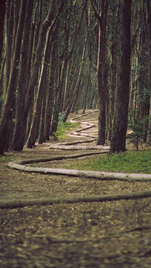 不错的蜘蛛池程序截图1