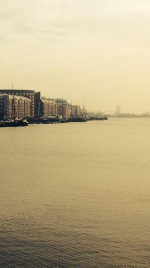 蜘蛛池租出去安全么截图2