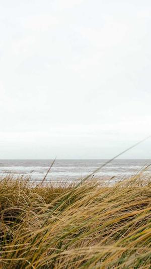 阿里蜘蛛池官方截图5