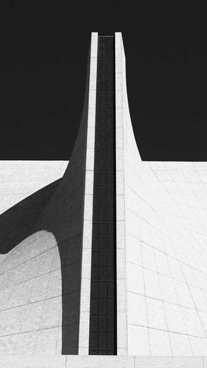 最好的蜘蛛池是哪家截图1