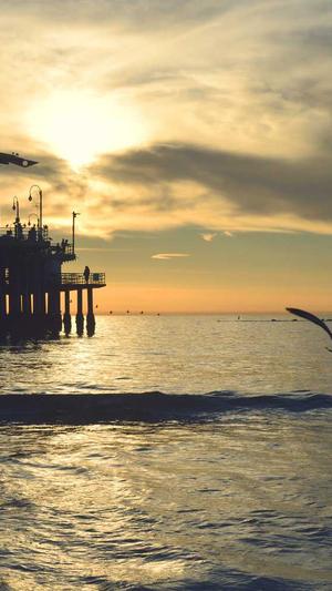 长春网站建设截图2