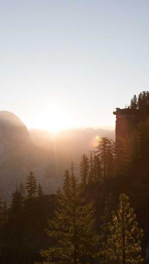 蜘蛛池推广平台截图3