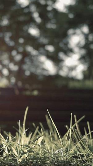 泛目录批量生成蜘蛛池截图3