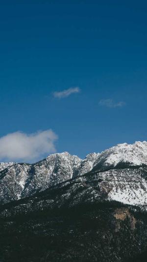 蜘蛛池有必要吗截图1