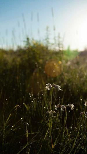 超级蜘蛛池用着怎么样截图3