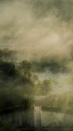 电子商务网站seo截图1