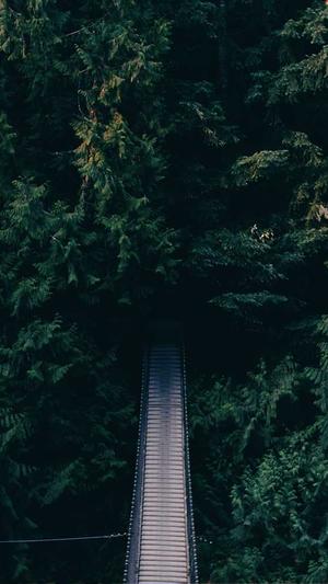 邯郸seo优化截图2