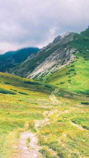 苏州营销型网站建设截图2