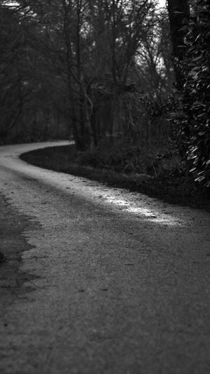 泉州网站网站建设截图2