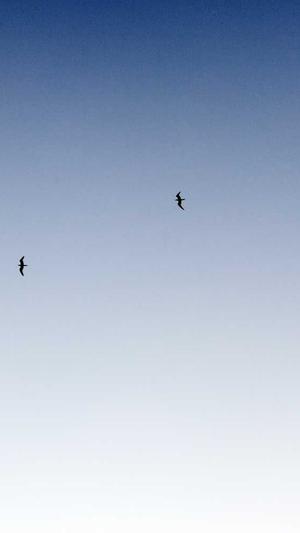 蜘蛛池的主要用处有截图2