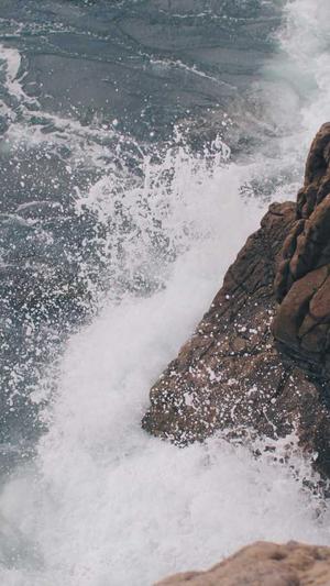 贵州搜狗蜘蛛池出租截图1