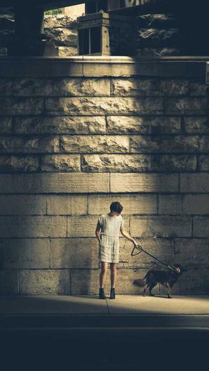 蜘蛛池搭建教程图解截图1