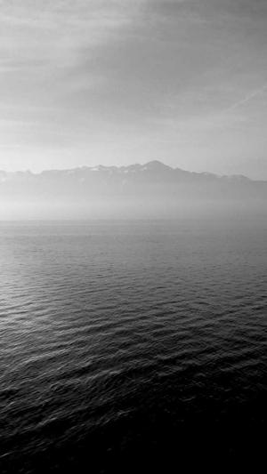 青岛seo优化工具截图2