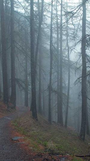 网站建设营销截图3