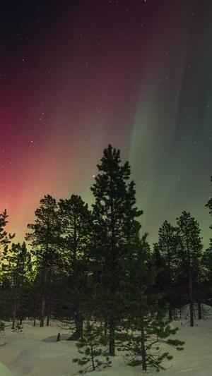 站长工具seo查询搜狗截图1