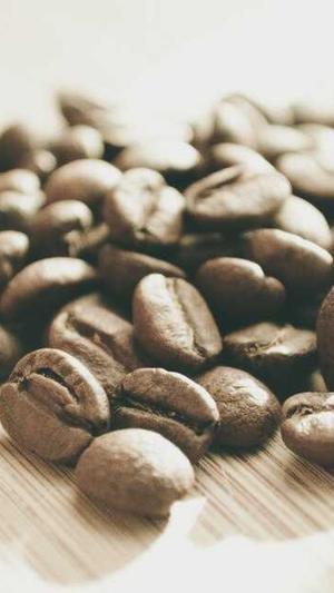 蜘蛛池怎么赚钱快截图2