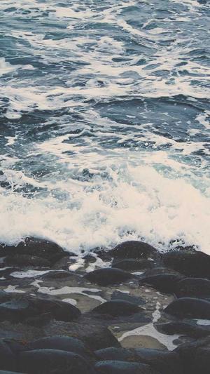 seo 网站优化工具截图3