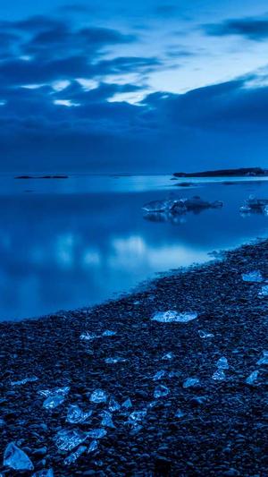 小旋风蜘蛛池搭建截图3